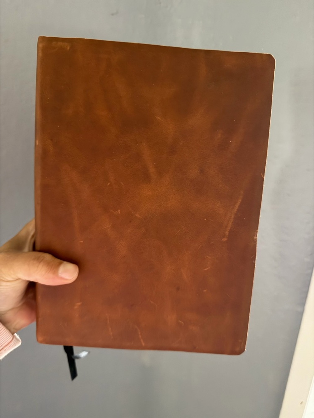 She Reads Truth Brown Leather Journal Bible - Classic Hardcover